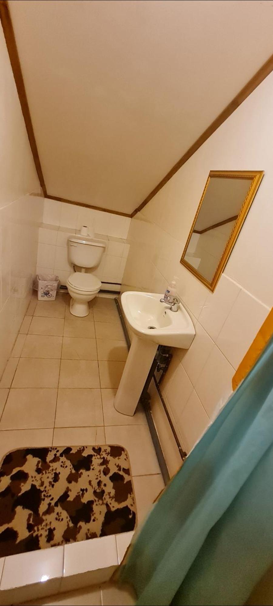 מלון פוארטו וויליאמס Hostal Beagle מראה חיצוני תמונה